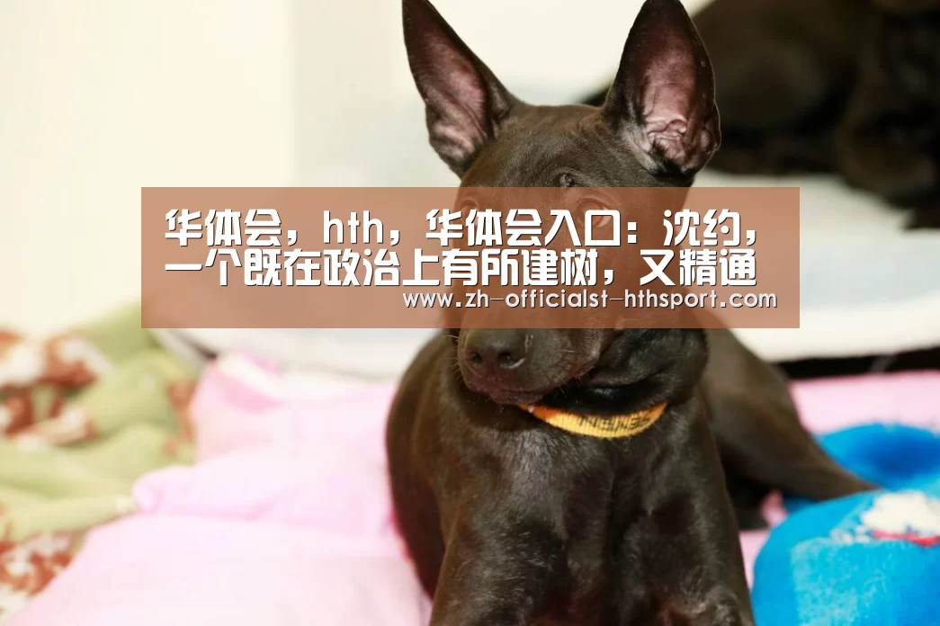华体会，hth，华体会入口：沈约，一个既在政治上有所建树，又精通文学与史学的大家